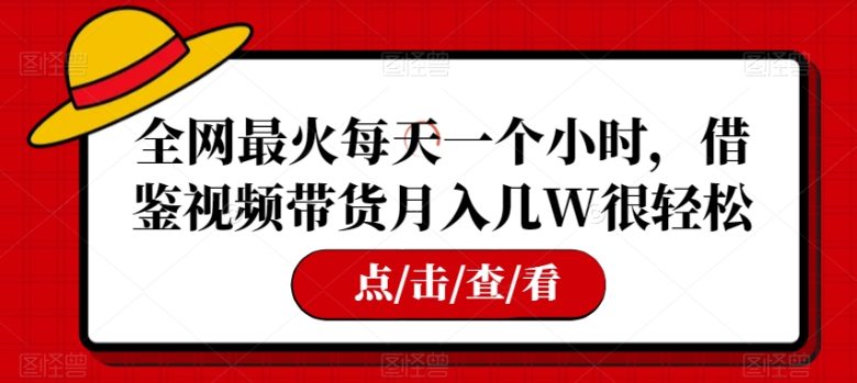 全网最火每天一个小时，借鉴视频带货月入几W很轻松【揭秘】(探索互联网赚钱之道视频带货项目的实操与前景)