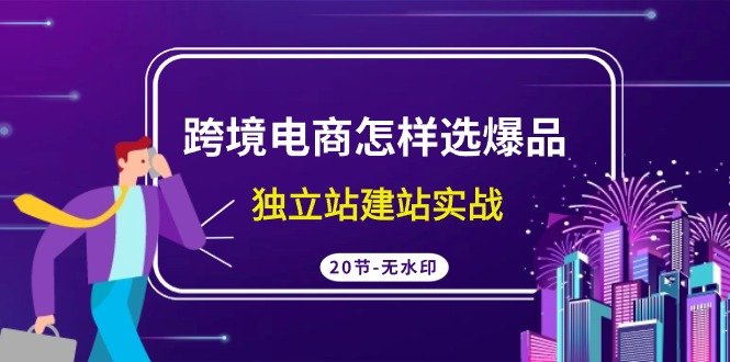 跨境电商怎样选爆品,独立站建站实战(20节高清课) 跨境电商怎样选爆品,独立站建站实战(20节高清课)
