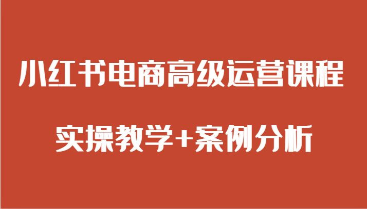 小红书电商高级运营课程 实操教学+案例分析(小红书电商高级运营课程全面解析实操技巧与案例分析)