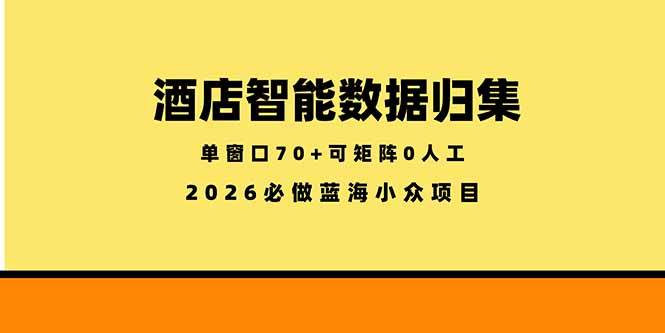 酒店智能数据归集，小众蓝海已经稳定半年之久，单窗口70+零成本矩阵开干