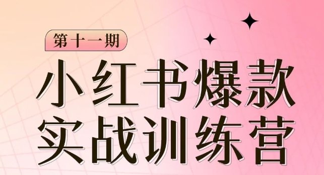 小红书博主爆款训练营第11期,手把手教你从0-1做小红书,从定位到起号到变现(小红书博主成长之路从零基础到变现的全面指南)