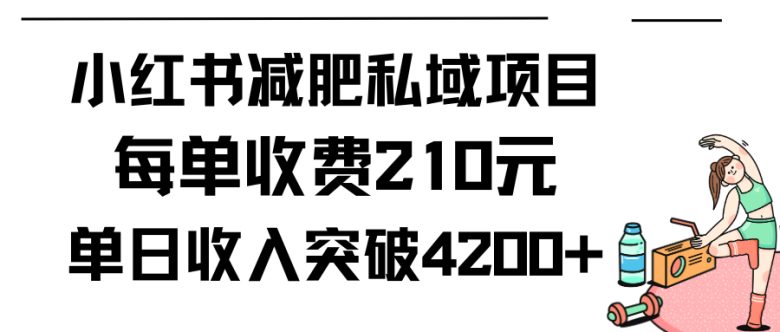 小红书减肥私域项目每单收费210元单日成交20单，最高日入4200+