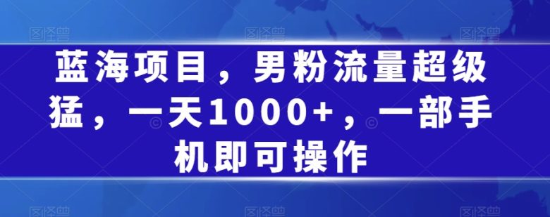 蓝海项目,男粉流量超级猛,一天1000+,一部手机即可操作【揭秘】(揭秘蓝海项目如何利用小红书吸引男性粉丝并实现月入过万)