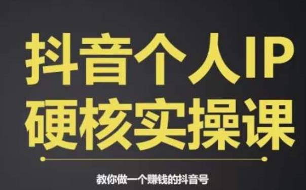 个人IP创富系统实战课,商业定位,流量打造,短视频变现,教你做个赚钱的抖音号(掌握抖音赚钱秘籍,打造个人IP实现财富增长) 个人IP创富系统实战课,商业定位,流量打造,短视频变现,教你做个赚钱的抖音号(掌握抖音赚钱秘籍,打造个人IP实现财富增长)