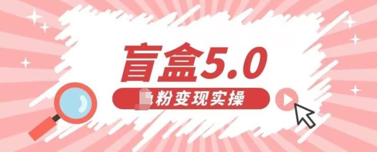盲盒交友5.0，男粉变现实操项目，亲测变现效果极好【揭秘】(揭秘“盲盒交友5.0”男粉变现实操项目的效果展示)