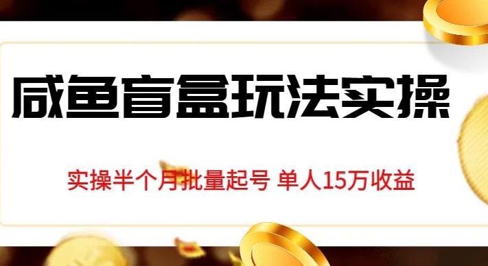 独家首发咸鱼盲盒玩法实操，半个月批量起号单人15万收益【揭秘】(揭秘咸鱼盲盒玩法半月收益15万)