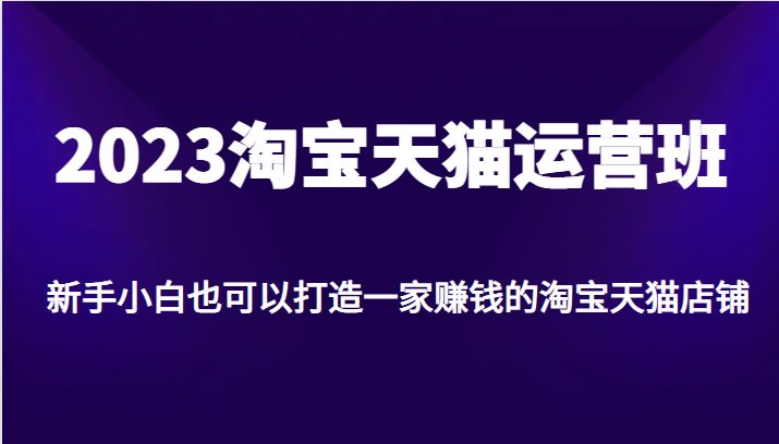 2023淘宝天猫运营班，新手小白也可以打造一家赚钱的淘宝天猫店铺(全面解析淘宝天猫运营技巧，助力新手小白打造赚钱店铺)