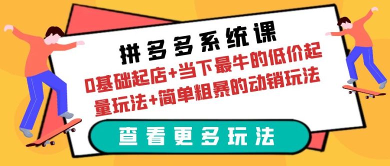 拼多多系统课：0基础起店+当下最牛的低价起量玩法+简单粗暴的动销玩法(拼多多系统课掌握实操技巧，助力稳定盈利)