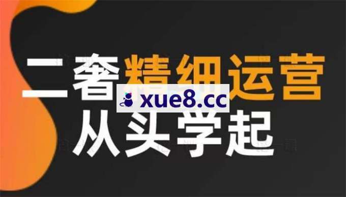 奢奢向上《二奢精细运营从头学起全能营Pro》