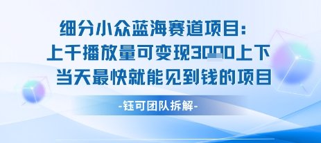 小众蓝海赛道项目:当天变现1k+适合新手操作 +适合长期玩