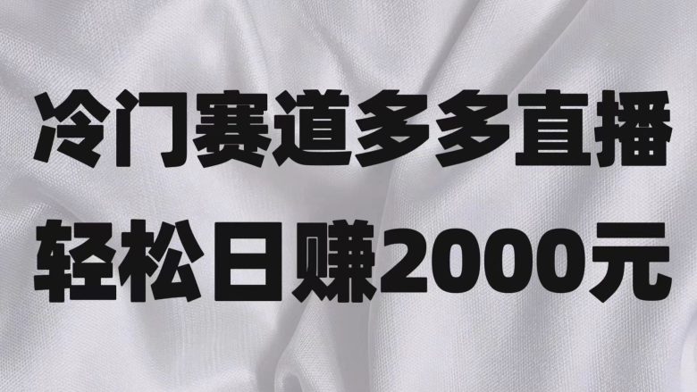 冷门赛道拼多多直播项目，简单念稿子，日收益2000＋(探索冷门赛道拼多多直播项目的红利期)