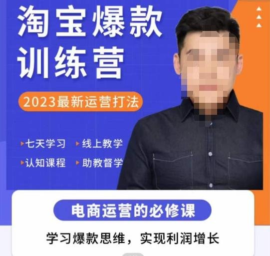 爱上黄昏·淘宝爆款训练营，2023最新运营打法，学习爆款思维，实现利润增长(“淘宝爆款训练营2023最新运营打法，学习爆款思维，实现利润增长”)
