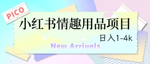 最新小红书情趣用品项目,日入1-4k