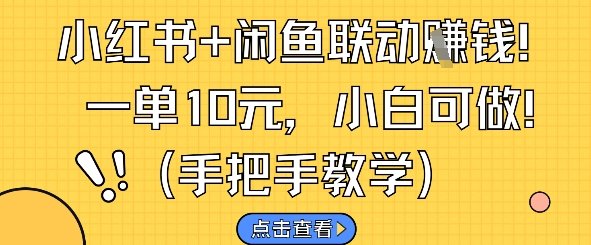 小红书+闲鱼联动挣钱,一单10元,小白可做