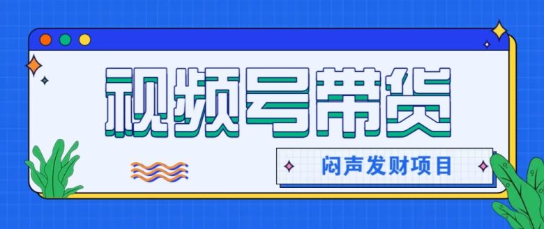 微信视频号带货项目，轻松日赚赚2000+，这个挣钱入口很多伙伴都在闷声发财