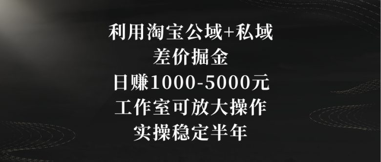 利用淘宝公域+私域差价掘金,日赚1000-5000元,工作室可放大操作,实操… 利用淘宝公域+私域差价掘金,日赚1000-5000元,工作室可放大操作,实操…
