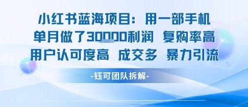小红书蓝海项目,一部手机单月做了3W利润,小白也能月入过1W用户认可度高成交多