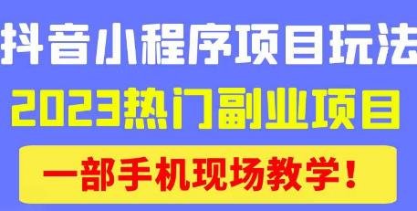 抖音小程序9.0新技巧，2023热门副业项目，动动手指轻松变现(探索抖音小程序9.0新技巧，轻松实现副业变现)