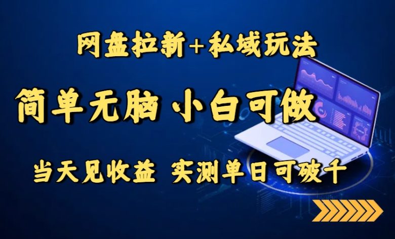 网盘拉新+私域玩法,简单无脑,小白可做,当天见收益,实测单日可破千