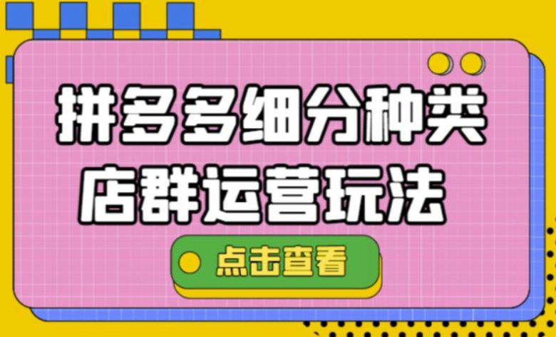 拼多多细分种类店群运营玩法3.0，11月最新玩法，小白也可以操作(拼多多细分种类店群运营玩法3.0，小白也能轻松上手)