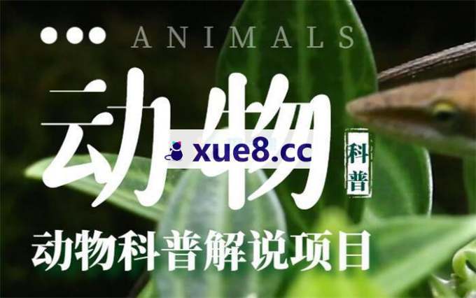 齐猫《小猫生活科普视频教学》
