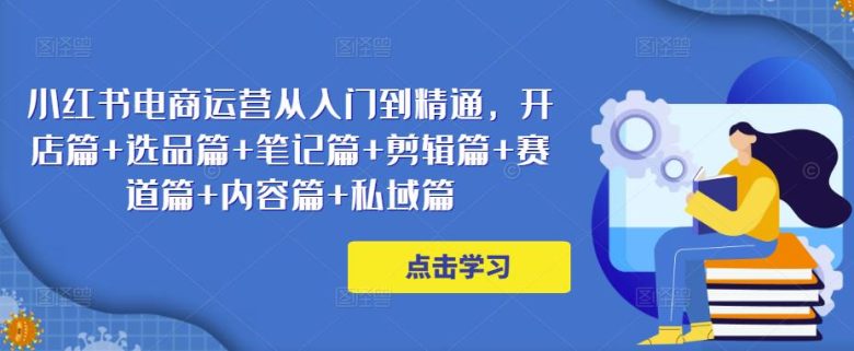 小红书电商运营从入门到精通，开店篇+选品篇+笔记篇+剪辑篇+赛道篇+内容篇+私域篇(小红书电商运营全攻略从开店到私域运营的实战技巧)