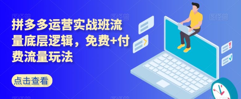 拼多多运营实战班流量底层逻辑,免费+付费流量玩法(深度解析拼多多运营实战班免费与付费流量策略全攻略) 拼多多运营实战班流量底层逻辑,免费+付费流量玩法(深度解析拼多多运营实战班免费与付费流量策略全攻略)