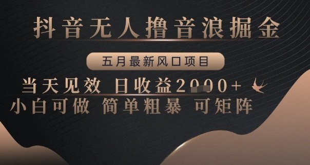抖音无人撸音浪掘金,五月最新风口项目,当天见效,日收益多张,小白可做简单粗暴可矩阵