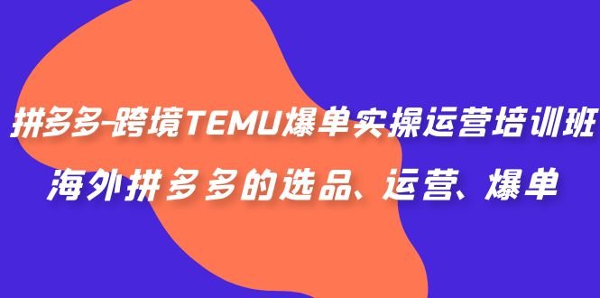 拼多多-跨境TEMU爆单实操运营培训班,海外拼多多的选品、运营、爆单(全面解析拼多多跨境TEMU运营策略与技巧) 拼多多-跨境TEMU爆单实操运营培训班,海外拼多多的选品、运营、爆单(全面解析拼多多跨境TEMU运营策略与技巧)