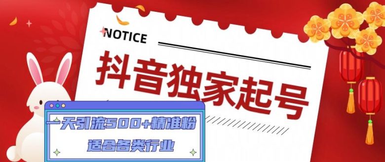 抖音独家起号，一天引流500+精准粉，适合各类行业（9节视频课）(全面掌握抖音运营技巧，实现高效精准引流)