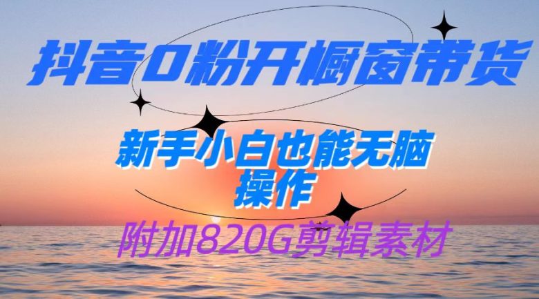 抖音0粉开橱窗带货，日入500+，新手小白也能无脑操作【附加820G剪辑资料】(抖音0粉开橱窗带货，新手小白也能轻松赚钱)