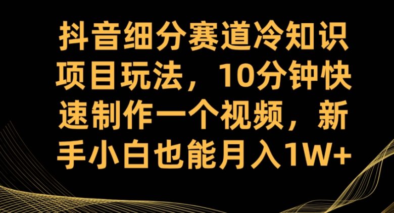 抖音细分赛道冷知识项目玩法，10分钟快速制作一个视频，新手小白也能月入1W+【揭秘】(揭秘抖音细分赛道冷知识项目，轻松实现月入过万)