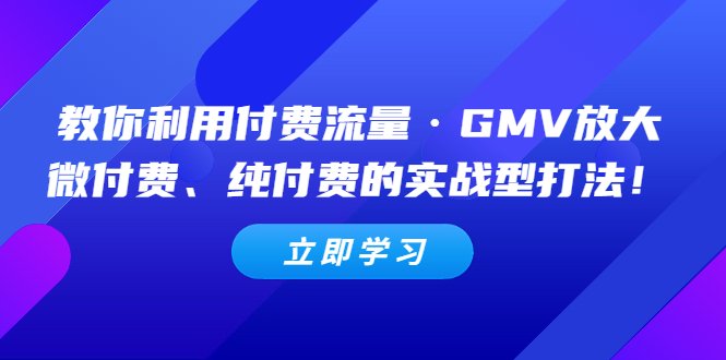 教你利用付费流量·GMV放大，微付费、纯付费的实战型打法！(揭秘微付费、纯付费的实战打法，提升你的付费流量效果！)