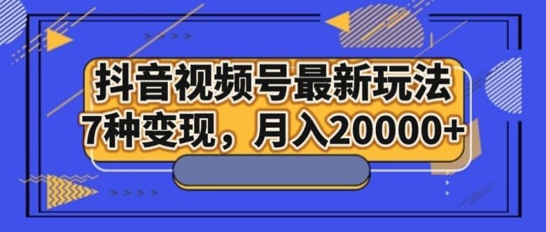 抖音视频号最新玩法，7种变现，月入20000+(探索抖音视频号新玩法伤感治愈账号的运营与变现策略)