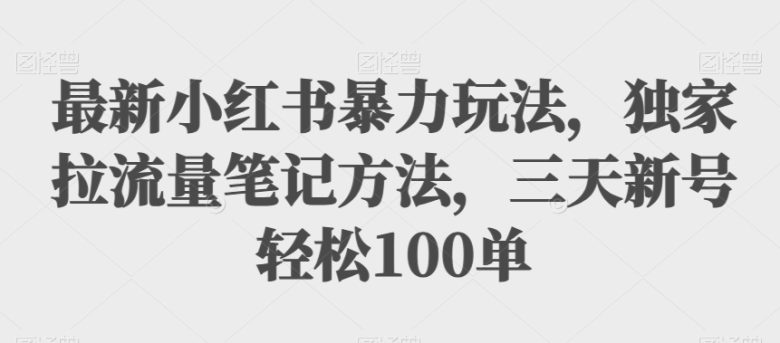 最新小红书暴力玩法，独家拉流量笔记方法，三天新号轻松100单【揭秘】(揭秘小红书新玩法三天新号轻松100单)