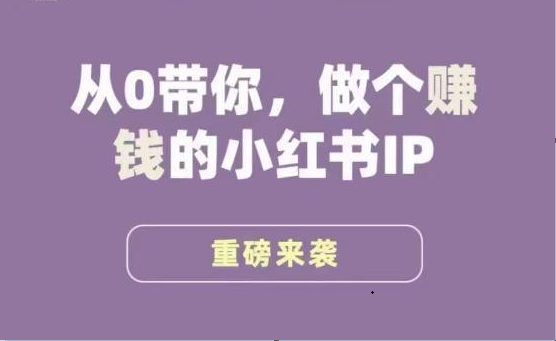 小红书运营大宝典从0到1，打造赚钱IP”)