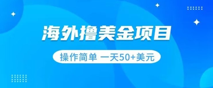 撸美金项目的实际操作与收益)