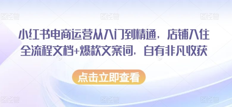 小红书电商运营从入门到精通,店铺入住全流程文档+爆款文案词,自有非凡收获(全面解析小红书电商运营从开店到精通的一站式教程)