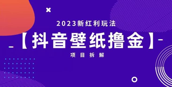抖音壁纸小程序创作者撸金项目，2023新红利玩法【项目拆解】(探索抖音壁纸小程序创作者撸金项目，开启2023年新红利之旅)