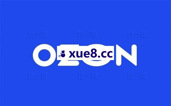 大师兄《OZON跨境电商全能必修课》
