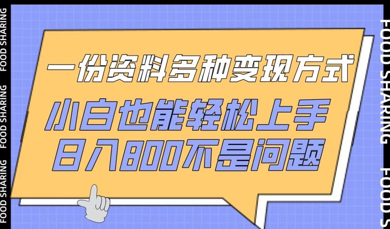 一份资料多种变现方式,小白也能轻松上手,日入800不是问题 一份资料多种变现方式,小白也能轻松上手,日入800不是问题