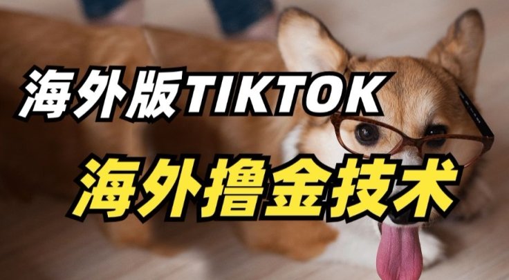 抖音海外版tiktok撸金技术,这个风口行业,赚钱真的不难 抖音海外版tiktok撸金技术,这个风口行业,赚钱真的不难