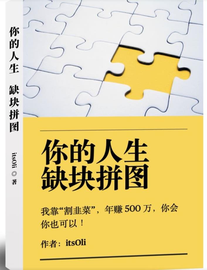 某高赞电子书《你的人生，缺块拼图——我靠“割韭菜”，年赚500万，你会你也可以》(揭秘“割韭菜”之道如何年赚500万？)