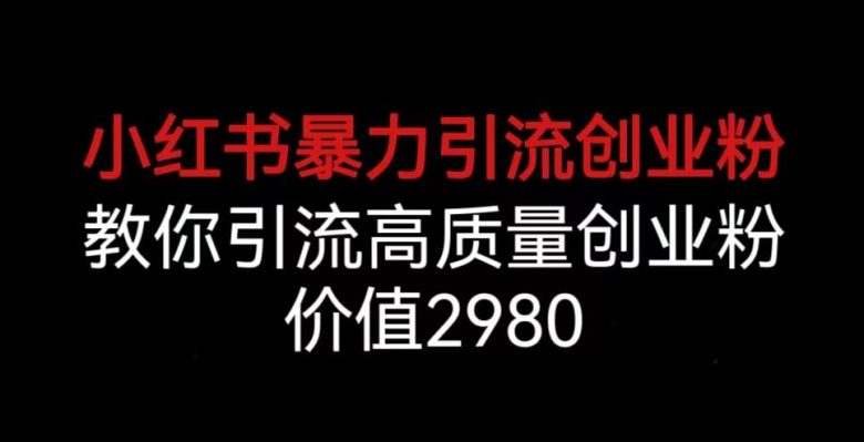 小红书暴力引流创业粉,教你引流高质量创业粉,价值2980【揭秘】(揭秘小红书暴力引流创业粉的全过程与策略)