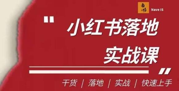 南悟·小红书医疗流量落地实战课，干货/落地/实战/快速上手(全面掌握小红书医疗流量落地实战策略)