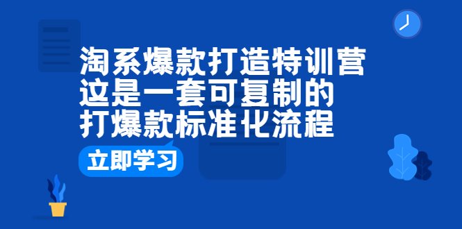 淘系爆款打造特训营:这是一套可复制的打爆款标准化流程(淘系爆款打造特训营破解商家痛点,提升爆款成功率)