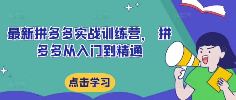 最新拼多多实战训练营, 拼多多从入门到精通 最新拼多多实战训练营, 拼多多从入门到精通
