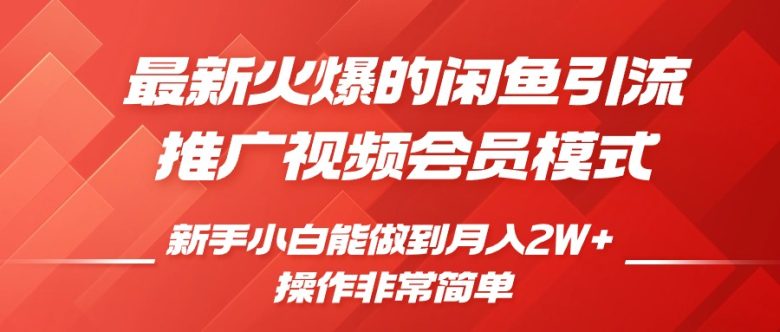 闲鱼引流推广影视会员,0成本就可以操作,新手小白月入过W+