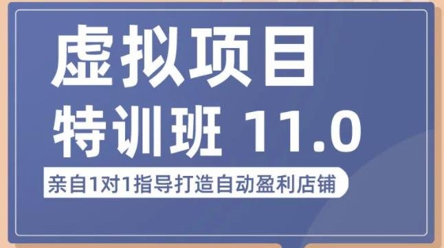 陆明明·虚拟项目特训班（10.0+11.0），0成本获取虚拟素材，0基础打造自动盈利店铺(“陆明明·虚拟项目特训班零基础打造自动盈利店铺的全面指南”)