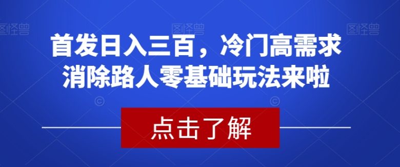 首发日入三百，冷门高需求消除路人零基础玩法来啦【揭秘】(首发日入三百，冷门高需求消除路人零基础玩法揭秘)